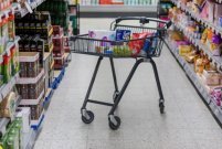 Shopper 65 L ostosvaunut - Image 2