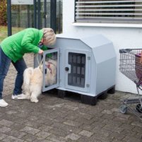 Doggy Box -koiraparkki