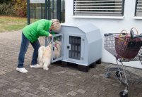 Doggy Box -koiraparkki